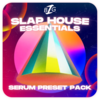 Big Z Sounds Big Z's Slap House Essentials