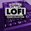 Boonie Tunes - Lofi Sound Collection 8