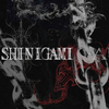 Sincere Shinigami Drumkit